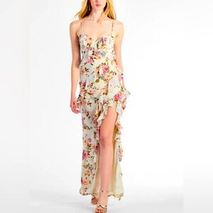 NWT Windsor Helga Dress